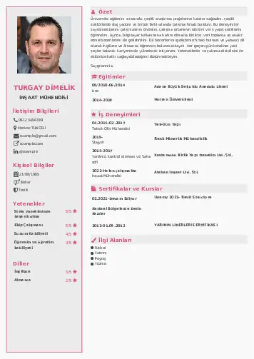 İnşaat Mühendisi Cv Örnekleri cv indir